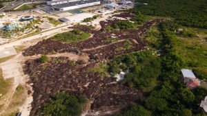 MEDIO AMBIENTE: Ministerio Medio Ambiente somete a la justicia hotel violaba leyes ambientales en Punta Cana