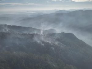 INCENDIO FORESTAL: Medio Ambiente informa que siniestro en Loma del Oro quedó totalmente liquidado