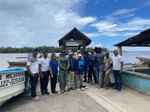 CRIMEN AMBIENTAL: Medio Ambiente investiga mortandad de peces en el río Soco