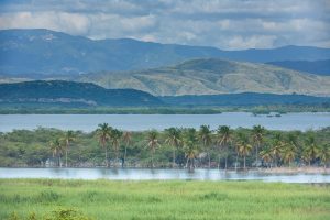 DESTRUYEN LAGUNA: Red Socioambiental  denuncia crimen ecológico en Laguna de Rincón y exige acciones urgentes del Estado