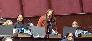 CONGRESUAL: Cámara de Diputados aprueba resolución recomienda al Presidente crear organismo de persecución de delitos migratorios