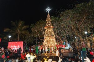 !SE ENCIENDE LA NAVIDAD! Alcaldesa Carolina Mejía lo hace en el malecón con gran arbolito en la Plaza Santo Domingo