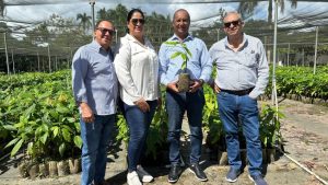 A SEMBRAR CACAO: Entregan en Hato Mayor 10 mil plántulas de cacao, 15 mil cepas de plátanos y otros productos, intervendrán caminos interparcelarios