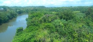!MADRE TIERRA! Max Puig llama a pasar de los discursos a la acción en el Día de la Tierra