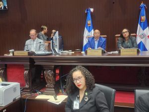 MEMORIAS TARDÍAS: Cámara de Diputados aprueba actos del Poder Ejecutivos consignado en memorias correspondientes a 2019 y 2020