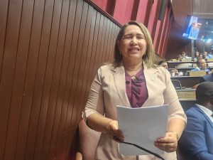 EMERGENCIA AMBIENTAL: Someten dos proyectos de Ley declaran Cordilleras Septentrional y Central libre de minería y territorios de seguridad nacional
