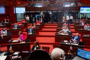 !EN MEDIO DE ESCANDALO BRUTALIDAD POLICIAL! Senado aprueba en primera lectura reformas a Ley Orgánica de la PN en una maratónica sesión