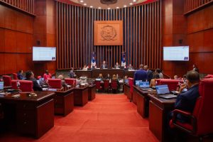 REFORMA POLICIAL: En sesión extraordinaria Senado aprueba en segunda lectura modificación a la Ley de la Policía Naciona