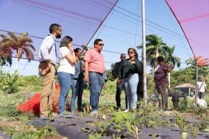 ¿QUÉ CONTRIBUYE A DISMINUIR HAMBRE EN RD? Compras públicas agroalimentarias constituyen pilar estratégico en el logro de la meta Hambre Cero en RD