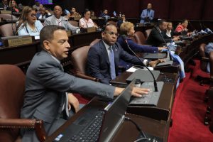 CÒDIGO PENAL: Cámara de Diputados aprueba en primera discusión modificación a 32 artìculos de ka Ley 74-25 que instituye el Código Penal de la RD