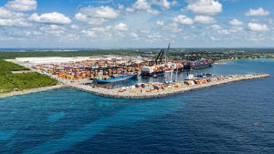 !MANGLARES! DP World en República Dominicana y Fundación Verde Profundo avanzan restauración de manglares en Boca Chica con un 86% de supervivencia en su primer año