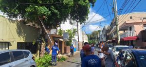 !PREVENCIÓN! Alcaldía intensifica operativos de poda y limpieza preventiva ante incidencia de aguaceros en la capital