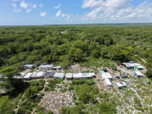 PROTECCIÓN AMBIENTAL: Medio Ambiente retira 73 estructuras ilegales de Hoyo Claro en el marco del decreto 615-26