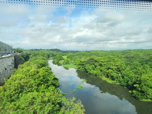 !GRAN SANTO DOMINGO NO DISPONE DE AGUA PROPIA PARA SU CONSUMO! ¿De dónde viene el agua de la capital? El catedrático eleuterio Martínez responde a continuación