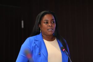 !SAFA! Un martes 13 tormentoso para la ministra de Interior y Policía, Faride Raful